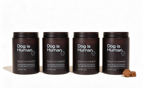 4pcs dog human daily - is,