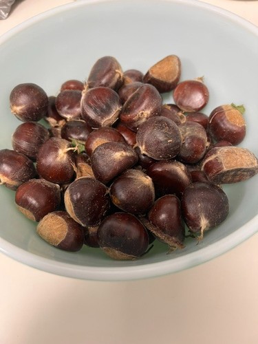 Fresh organic chestnuts - lb,
