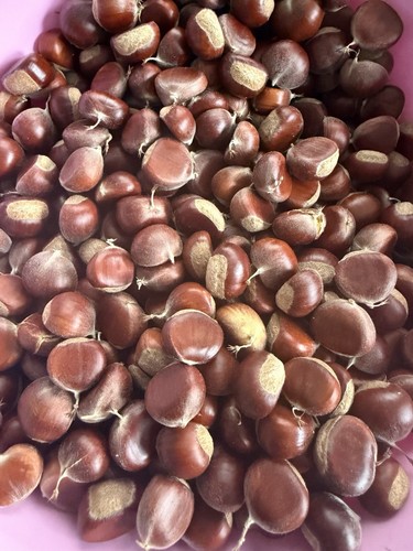 Fresh organic chestnuts - lb,