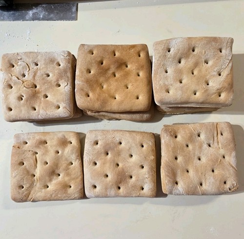 Civil war hardtack - hardtack, daily