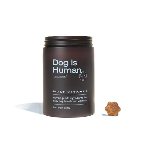 Dog human daily - is,