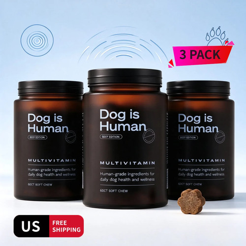 Pack dog human daily - pack,