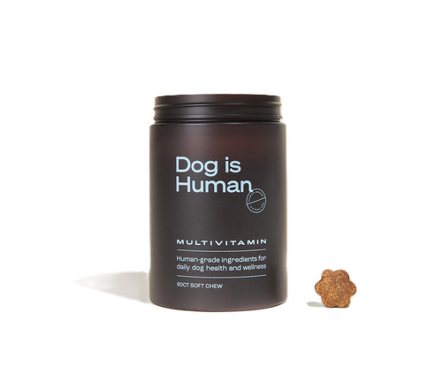 Dog human daily - dog,