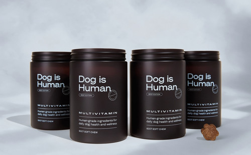Dog human daily - human,