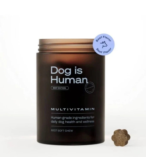 Dog human daily - dog, is